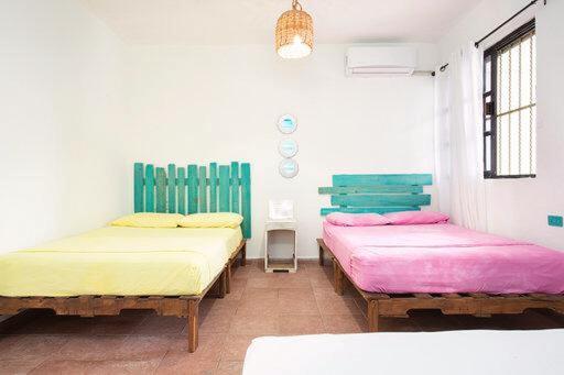Casa Calido Hotel Cozumel Værelse billede